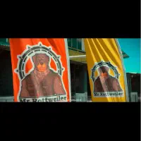 بزرگترین مرکز آموزش سگ ها در کشور