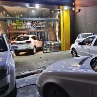 شاگرد مبتدی برای دیتیلینگ و نقاشی