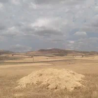 فروش کاه