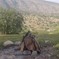 باغبانی