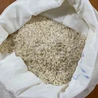 پیش فروش برنج هاشمی درجه یک محصول تک بجار