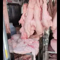 خرده دنبه گرم بره ،گوشت برزیلی ، مرغ گرم ومنجمد