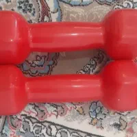دمبل ۱ کیلویی