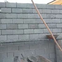 پی کنی دیوارکشی