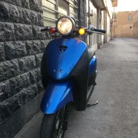 موتور پاکشتی هوندا تودی F