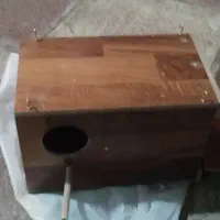 لونه عروس هلندی