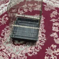 قفس پرنده