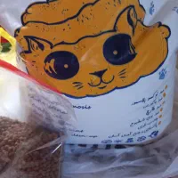 شامپو و شن گربه