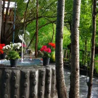 دور همی عصرگاهی