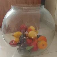 تنگ ماهی ضخیم
