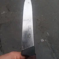 قصاب شبانه روزی