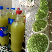فروش آبغوره بسیار تمیز  از باغهای فاروق