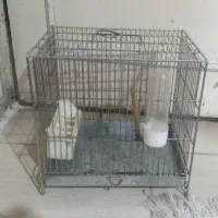 قفس سهره