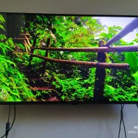 ال ای دی ۵۰ جی پلاس ۴ کی اسمارت هوشمند 4k smart