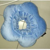 گردنی الیزابت گربه