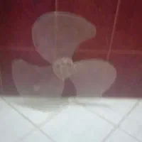 پروانه پنکه
