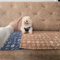 پامرانین سفید برفی