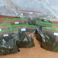 سبزیجات|خوردنی و آشامیدنی|مشهد, همت آباد|دیوار