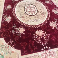 یک جفت 12 متری 500 شانه تمیز بدون عیب ایراد