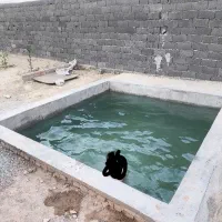 باغچه 300 متری سند تک برگ