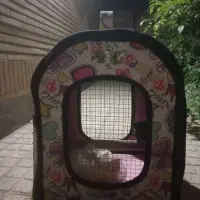 کیف حمل طوطی