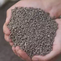 کود سیاه و سفید
