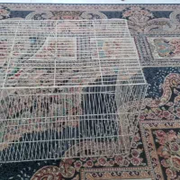 قفس پرنده