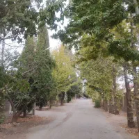 فروش-باغ-ویلای-مدرن-گلبهار-صدرا