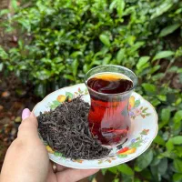 چای بهاره درجه یک