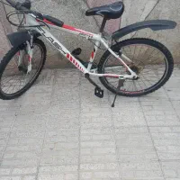 دوچرخه برند فلش