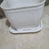 گلدان گل