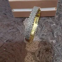 بدلیجات رنگ ثابت