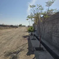 فروش-زمین
