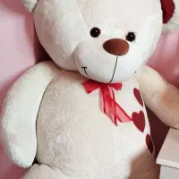 خرس بزرگ