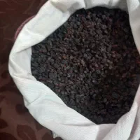 کشمش