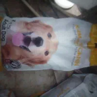 غذای سگ