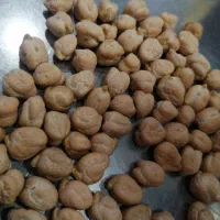 نخودبهاره