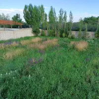 قطعه-ی-600متر-ویلایی-مناسب-در-زین-آباد-ایوند