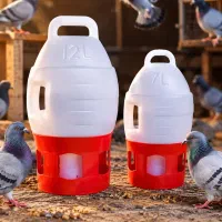 آبخوری پرنده کبوتر
