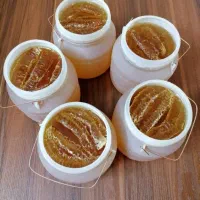 عسل|خوردنی و آشامیدنی|سبزوار, رضوان|دیوار