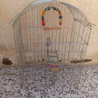 قفس پرنده