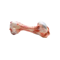 قلم گوساله