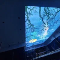 دکوراسیون داخلی ساختمان سقف های کاذب