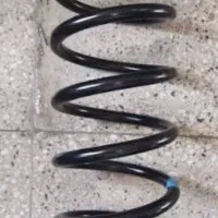 فنر لول پاژن وی شش