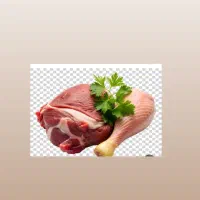 کشتار وعرضه گوشت گوساله گوسفندی مرغ