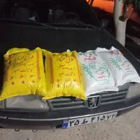 برنج|عمدهفروشی|جم, |دیوار