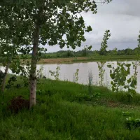 متقاضی کارگر همه کاره (چند پیشه)