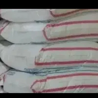کودسفید