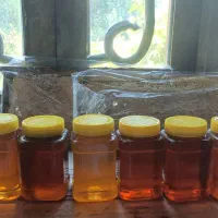 عسل طبیعی