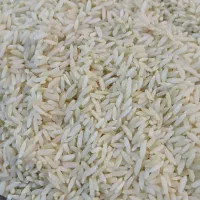 برنج محلی علی کاظمی